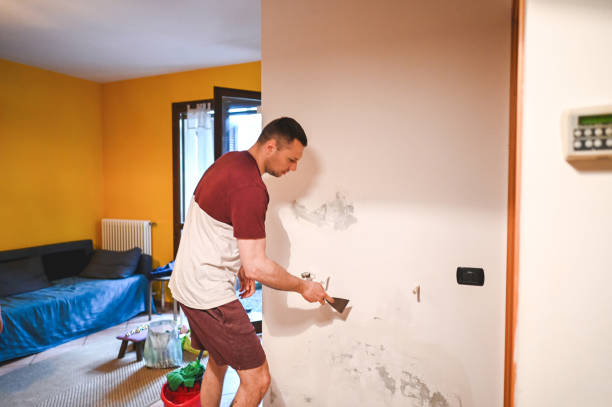 Best Bathroom Mold Remediation in Soh Jordan, UT